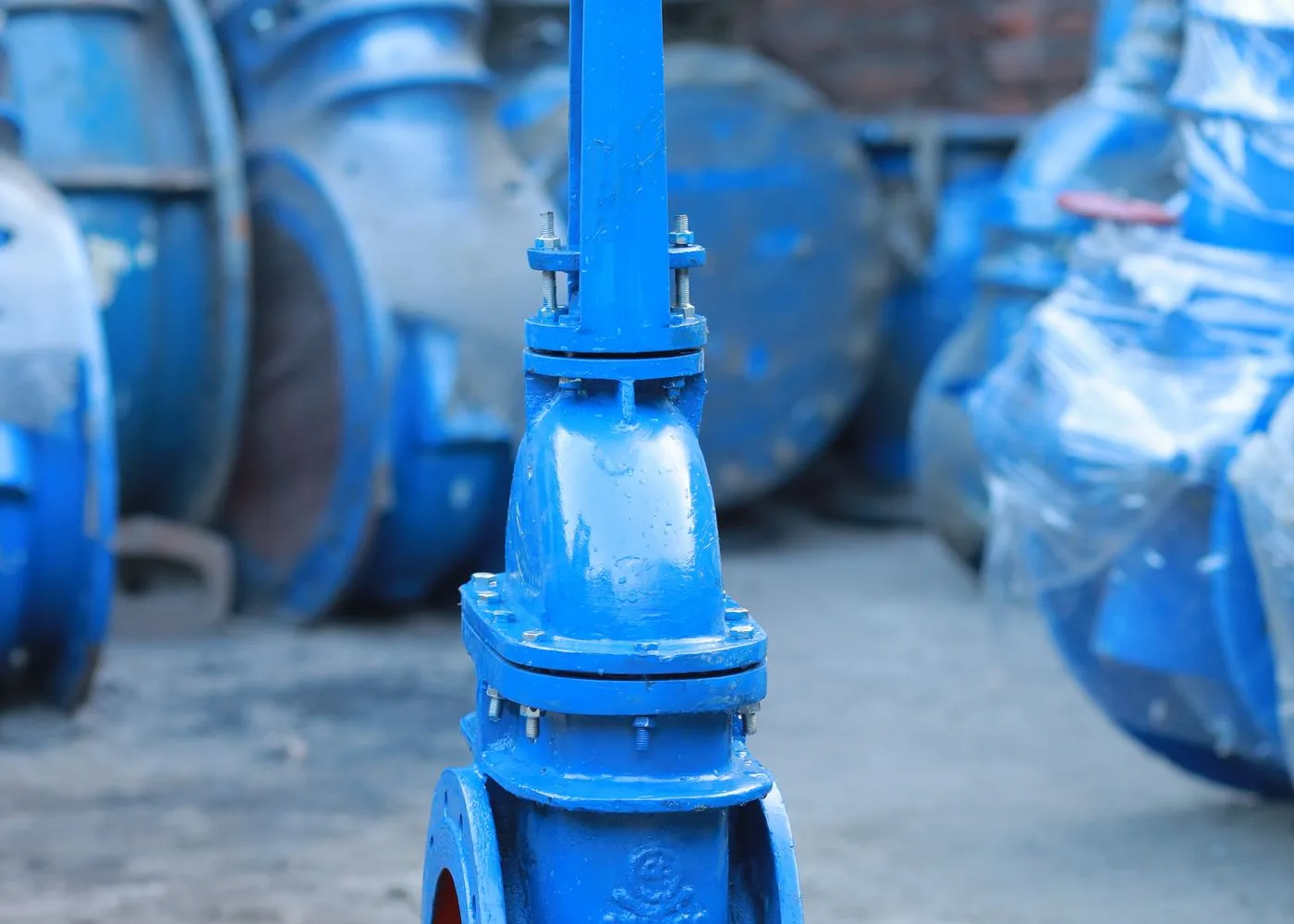 Landing Valve
